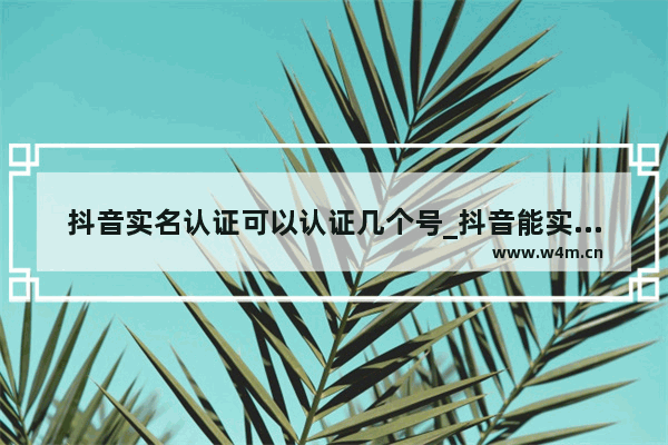 抖音实名认证可以认证几个号_抖音能实名认证几个号?