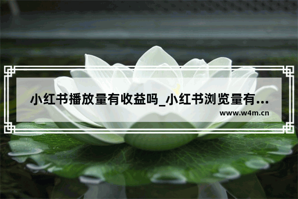 小红书播放量有收益吗_小红书浏览量有收益吗