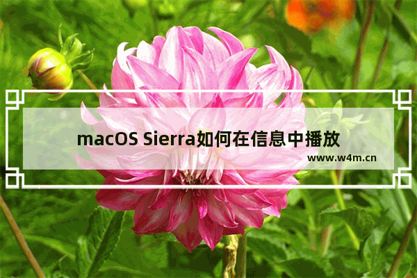 macOS Sierra如何在信息中播放视频 macOS Sierra在信息中播放视频教程