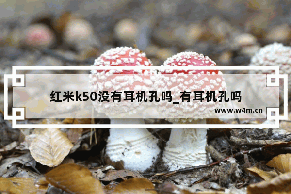 红米k50没有耳机孔吗_有耳机孔吗