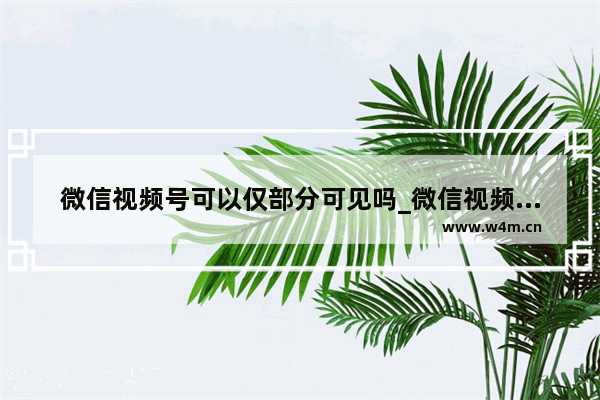 微信视频号可以仅部分可见吗_微信视频号怎么设置仅部分可见