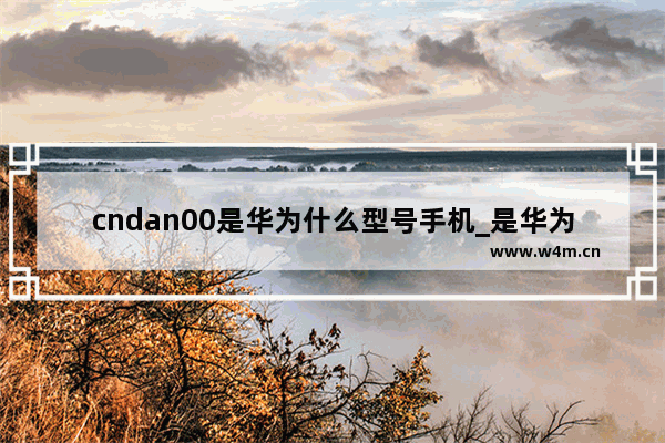 cndan00是华为什么型号手机_是华为哪款手机