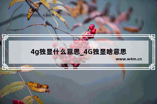 4g独显什么意思_4G独显啥意思