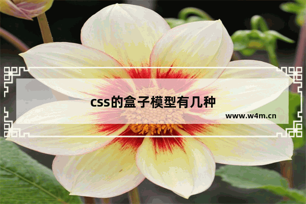 css的盒子模型有几种