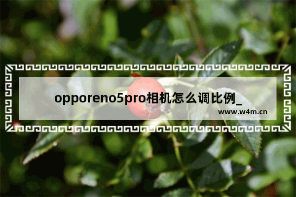 opporeno5pro相机怎么调比例_如何调比例