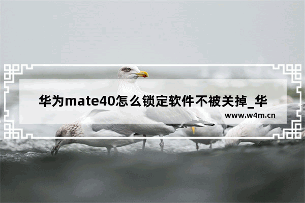 华为mate40怎么锁定软件不被关掉_华为mate40pro如何锁定后台应用