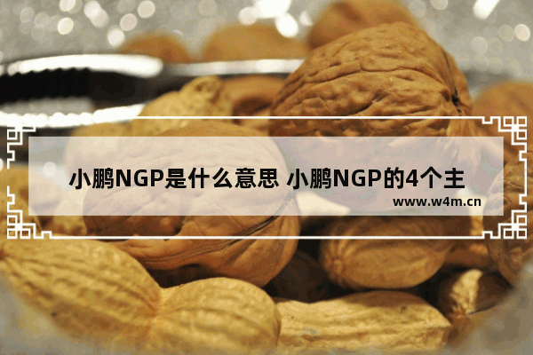 小鹏NGP是什么意思 小鹏NGP的4个主要功能