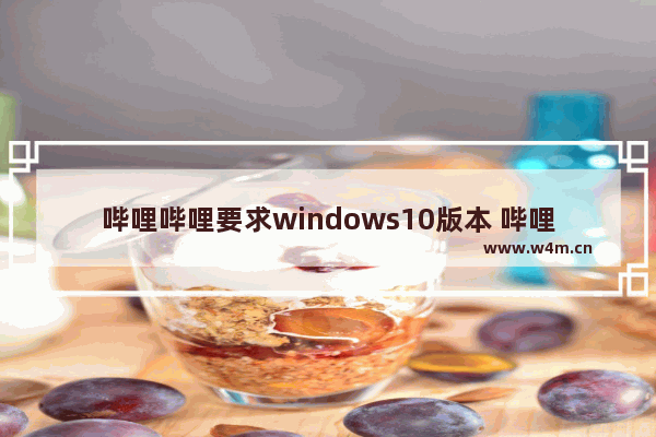 哔哩哔哩要求windows10版本 哔哩哔哩windows10下载哪个版本