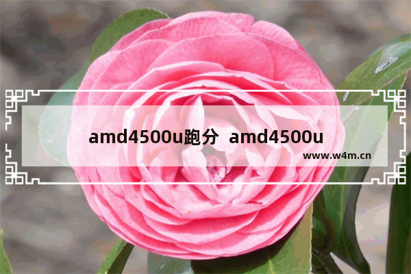 amd4500u跑分  amd4500u显卡性能