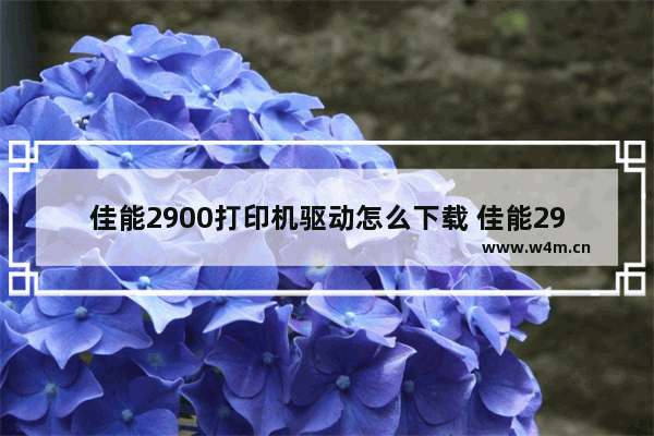 佳能2900打印机驱动怎么下载 佳能2900打印机驱动如何下载