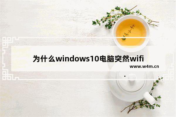 为什么windows10电脑突然wifi选项消失 windows10电脑突然wifi选项消失是为什么