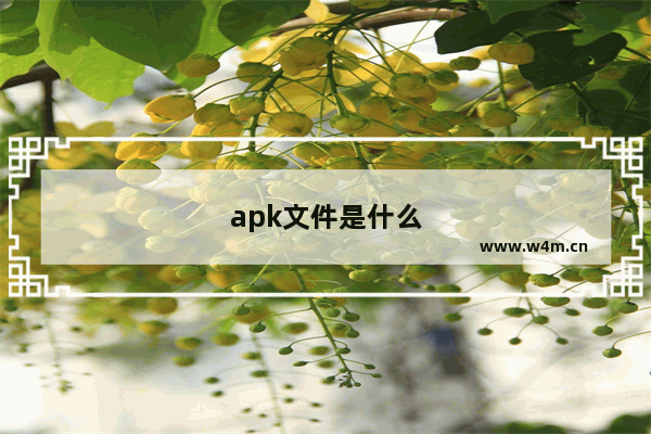 apk文件是什么