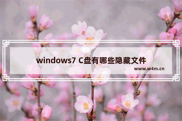 windows7 C盘有哪些隐藏文件