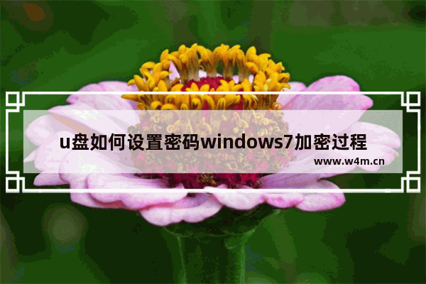 u盘如何设置密码windows7加密过程