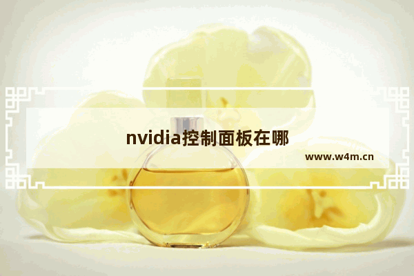 nvidia控制面板在哪