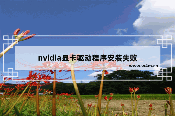 nvidia显卡驱动程序安装失败