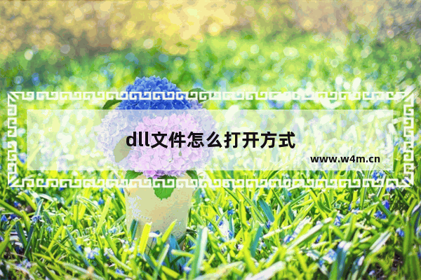 dll文件怎么打开方式