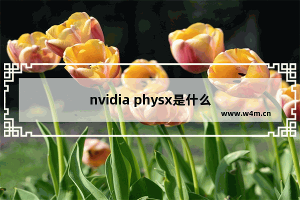 nvidia physx是什么