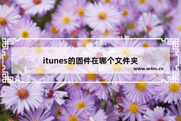 itunes的固件在哪个文件夹