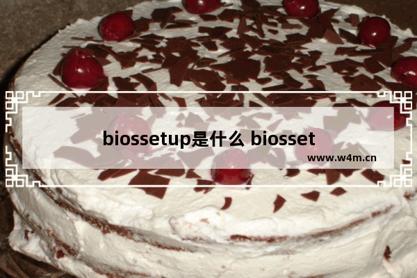 biossetup是什么 biossetup意思是什么