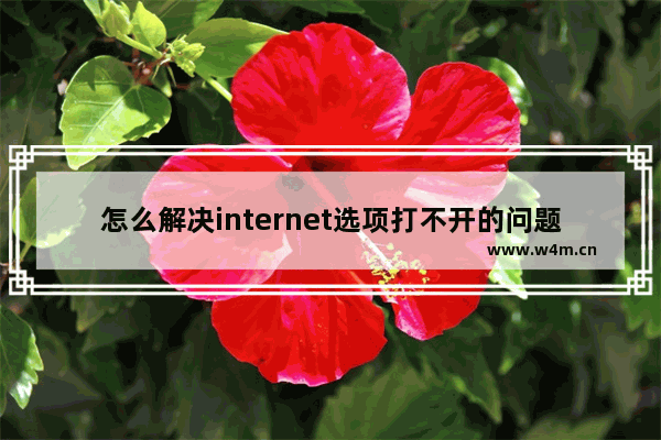 怎么解决internet选项打不开的问题