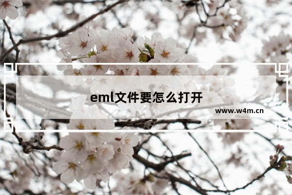 eml文件要怎么打开