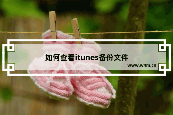 如何查看itunes备份文件