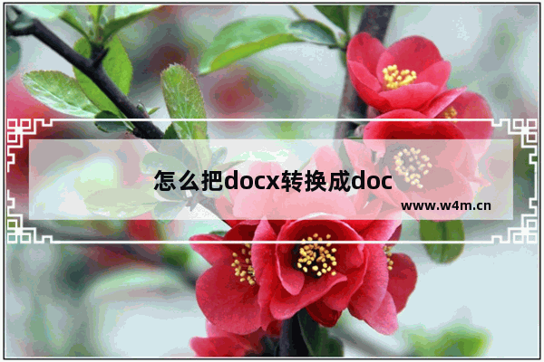 怎么把docx转换成doc