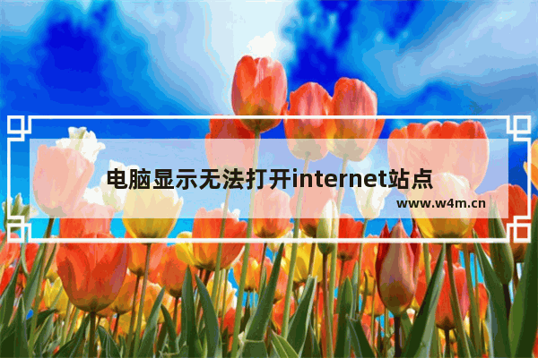 电脑显示无法打开internet站点