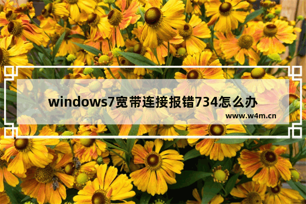 windows7宽带连接报错734怎么办