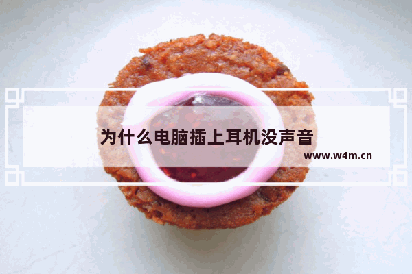 为什么电脑插上耳机没声音