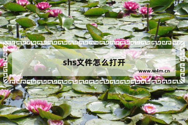 shs文件怎么打开