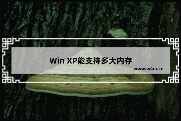 Win XP能支持多大内存