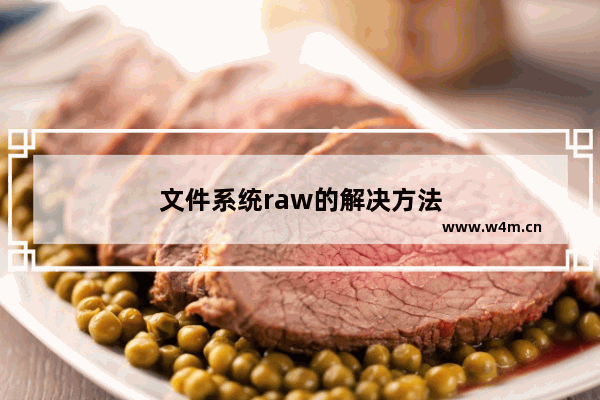 文件系统raw的解决方法