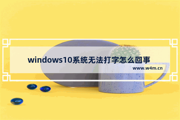 windows10系统无法打字怎么回事 windows10系统打不了字