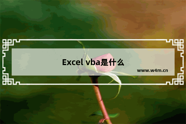 Excel vba是什么