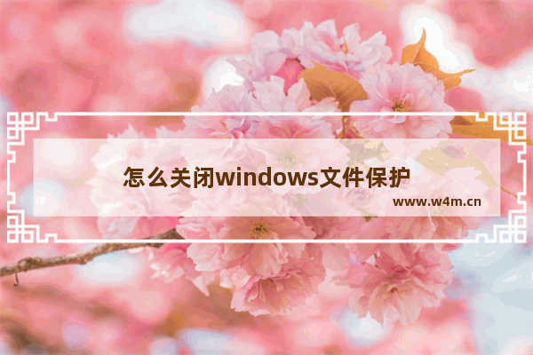 怎么关闭windows文件保护