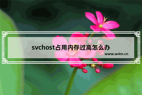 svchost占用内存过高怎么办