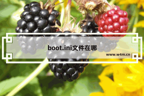 boot.ini文件在哪