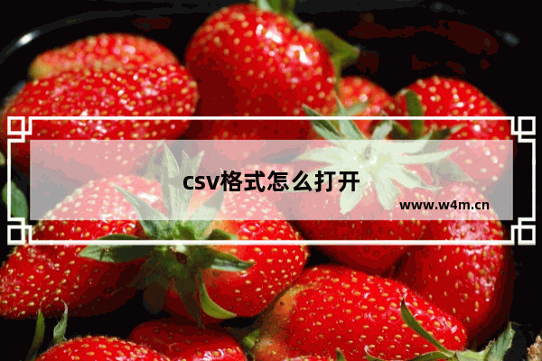 csv格式怎么打开