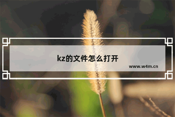 kz的文件怎么打开