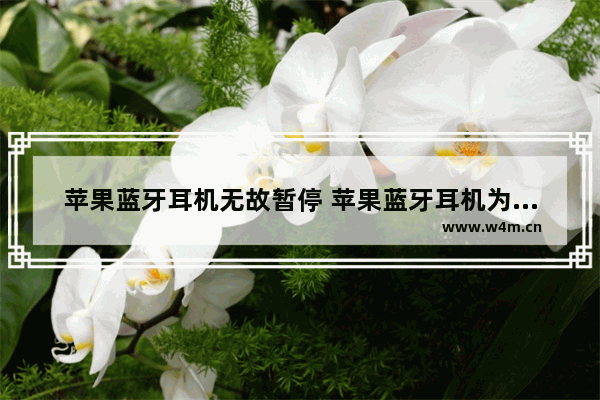 苹果蓝牙耳机无故暂停 苹果蓝牙耳机为什么自动暂停