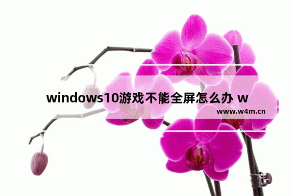 windows10游戏不能全屏怎么办 windows10下游戏不能全屏如何解决