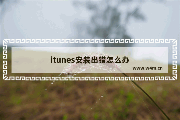 itunes安装出错怎么办