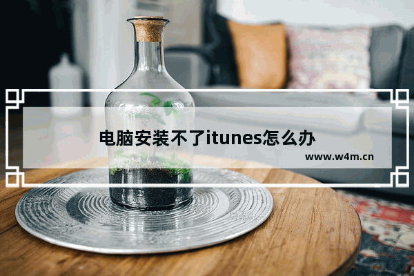 电脑安装不了itunes怎么办