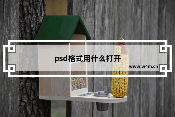 psd格式用什么打开