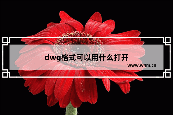 dwg格式可以用什么打开