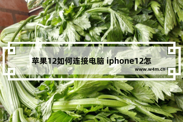 苹果12如何连接电脑 iphone12怎么连接电脑