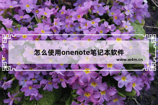 怎么使用onenote笔记本软件