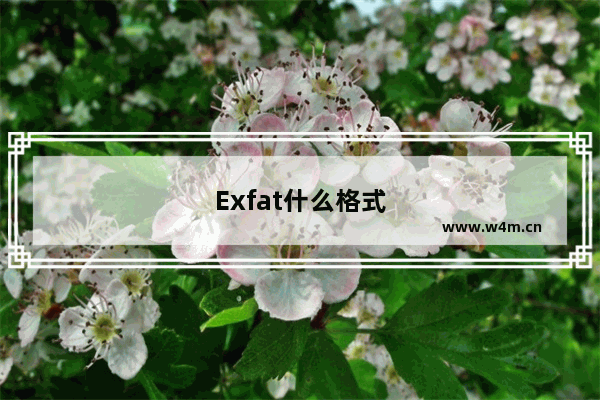 Exfat什么格式